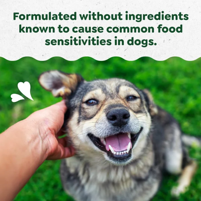 Greenies Digestive Health Sensitive Care Supplement for Dogs, Peanut Butter Flavor, 40 Count Pouch - Image 4