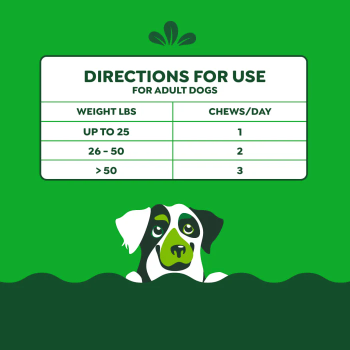 Greenies Digestive Health Sensitive Care Supplement for Dogs, Peanut Butter Flavor, 40 Count Pouch - Image 8