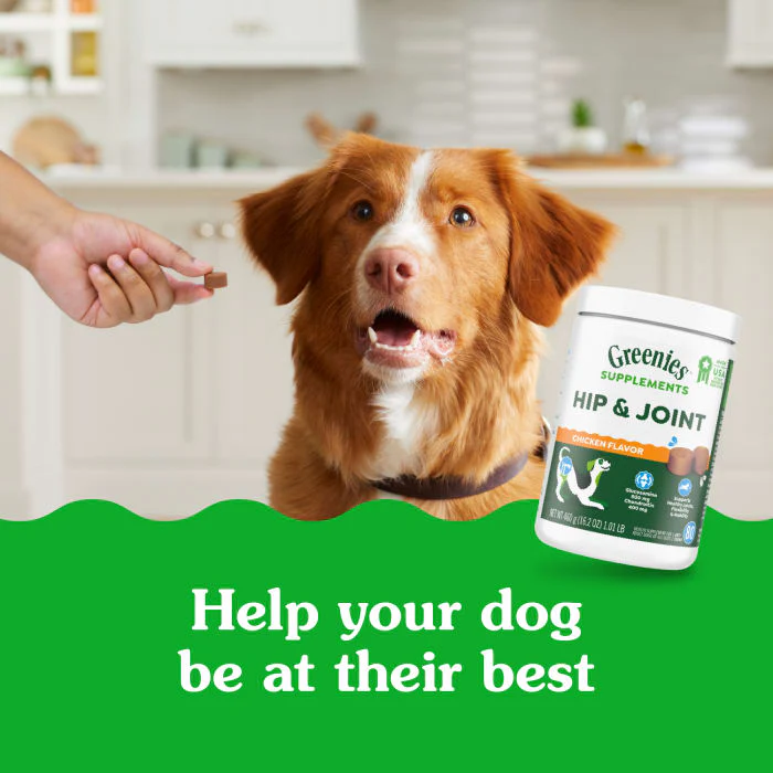 Greenies Hip and Joint Supplements for Dogs, Chicken Flavor, 16.2 oz., 80-Count Soft Chews - Image 4