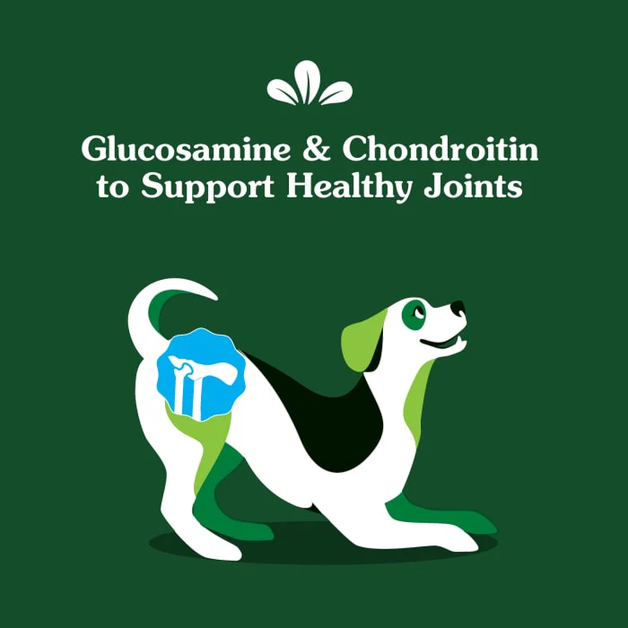 Greenies Hip and Joint Supplements for Dogs, Chicken Flavor, 16.2 oz., 80-Count Soft Chews - Image 5