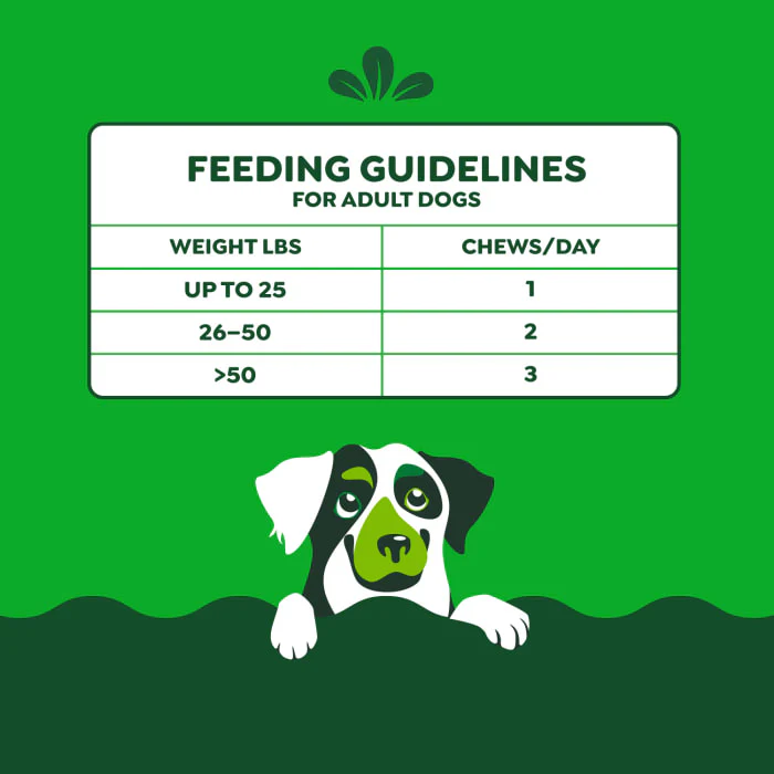 Greenies Hip and Joint Supplements for Dogs, Chicken Flavor, 16.2 oz., 80-Count Soft Chews - Image 9