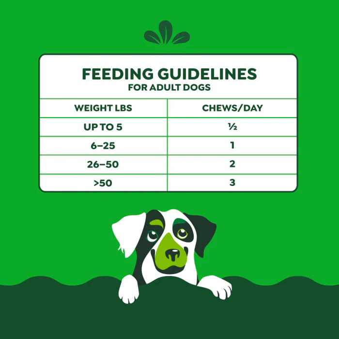 Greenies Dog Skin and Coat Supplements With Fish Oil, Chicken Flavor, 14.7 oz., 80-Count Soft Chews - Image 9