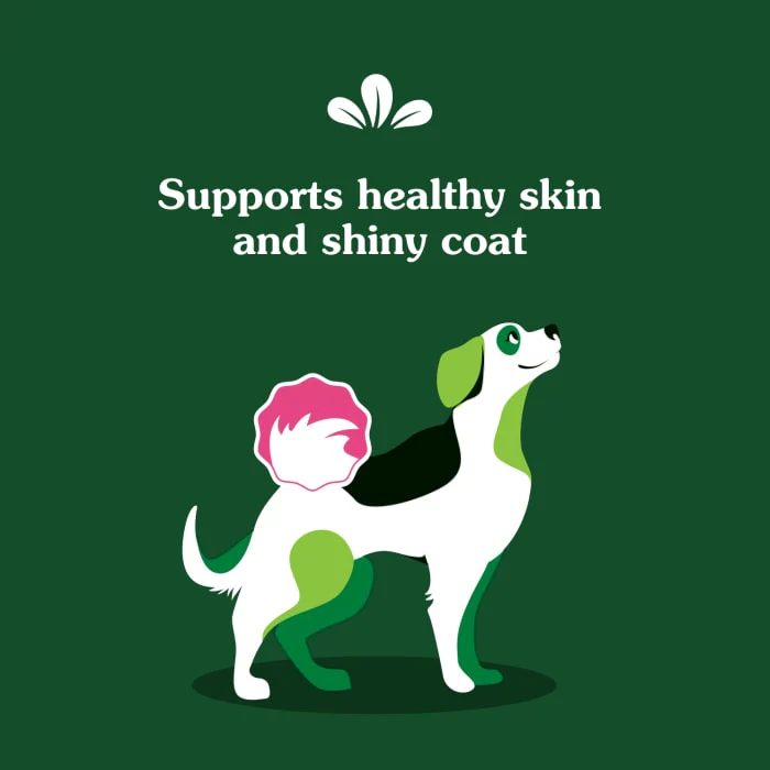 Greenies Dog Skin and Coat Supplements With Fish Oil, Chicken Flavor, 14.7 oz., 80-Count Soft Chews - Image 5