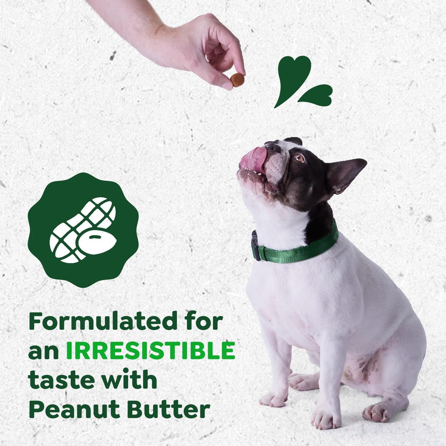 Greenies Digestive Health Sensitive Care Supplement for Dogs, Peanut Butter Flavor, 40 Count Pouch - Image 6