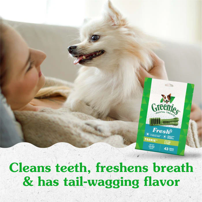 GREENIES TEENIE Natural Dog Dental Care Chews Oral Health Dog Treats Fresh Flavor, 12 oz. Pack (43 Treats) - Image 4