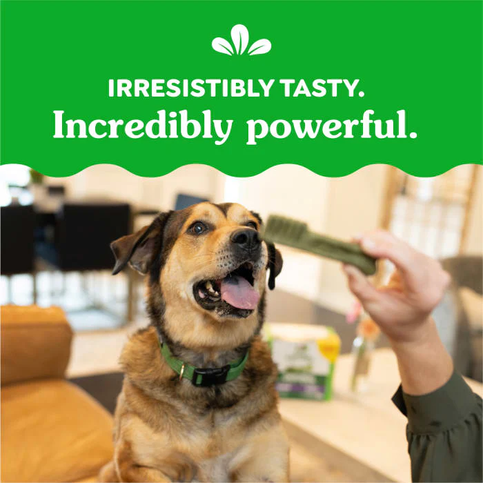 GREENIES Weight Management Large Natural Dog Dental Care Chews Weight Control Dog Treats, 27 oz. Pack (17 Treats) - Image 7