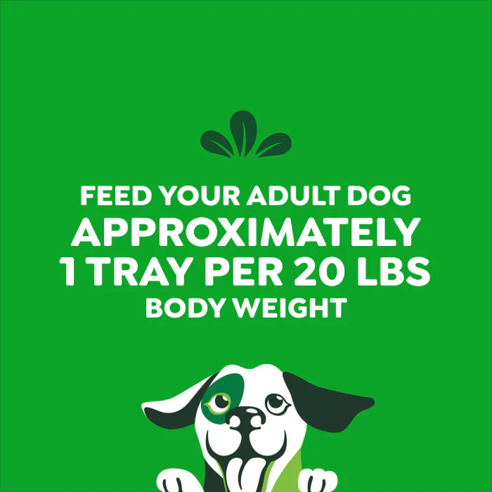 Greenies Smart Topper Wet Mix-In for Dogs, Chicken with Green Beans & Chicken with Beef Pack, 20 Trays of 2 oz. - Image 10