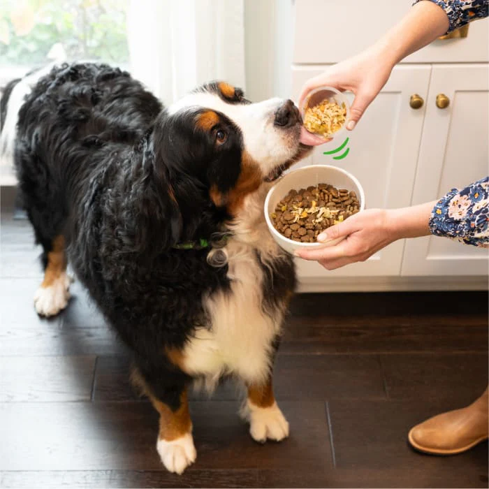Greenies Smart Topper Wet Mix-In for Dogs, Chicken with Green Beans & Chicken with Beef Pack, 20 Trays of 2 oz. - Image 5